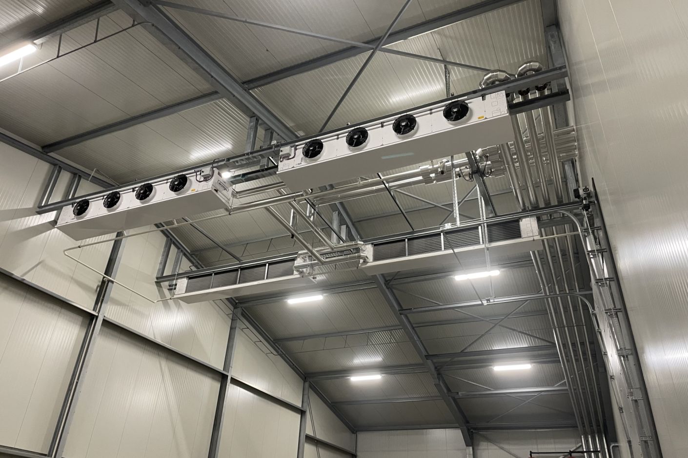 Koelcel tulpen & leliebewaring