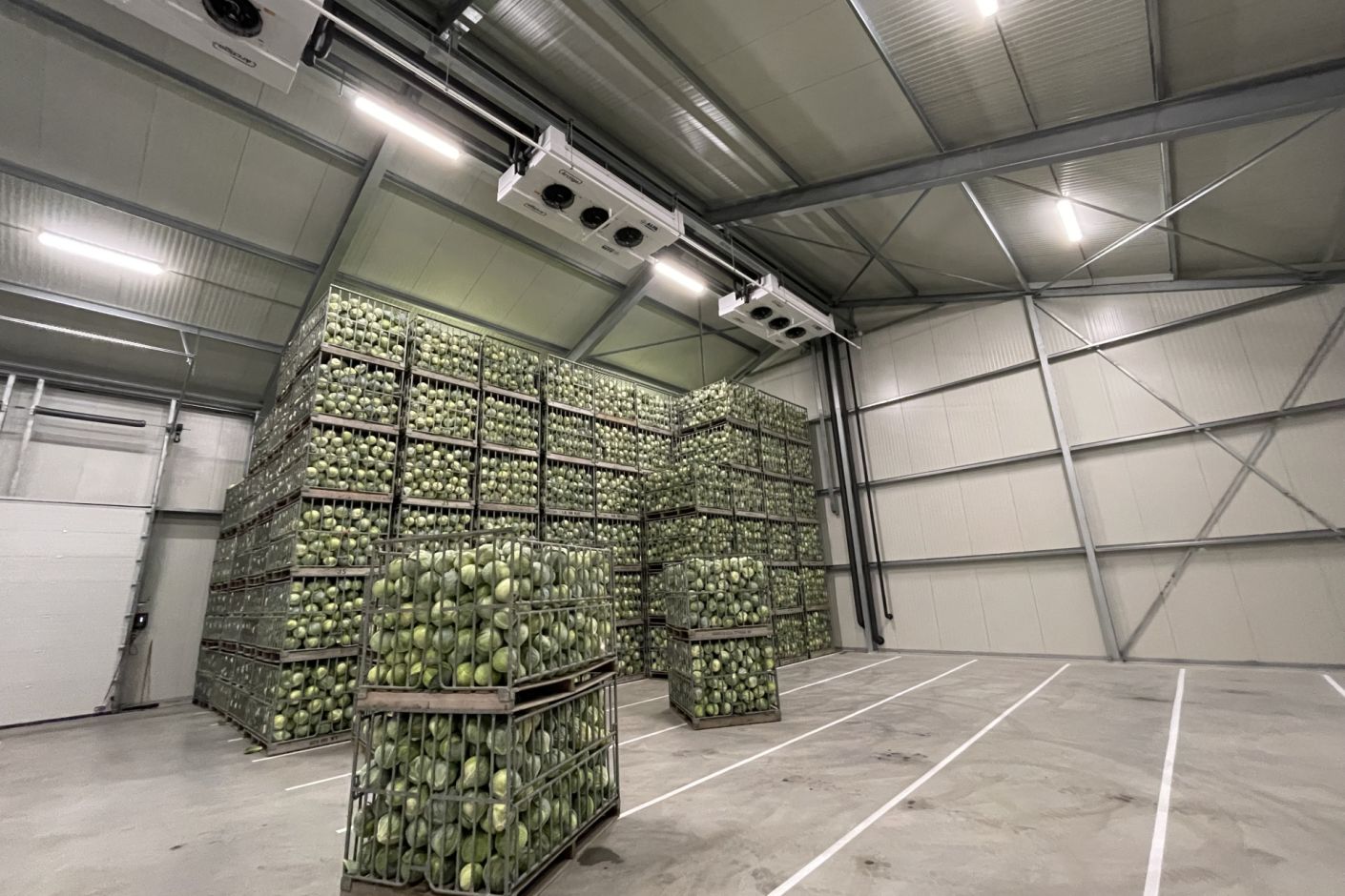 Koelcellen koolbewaring