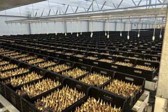 Luchtbehandeling kasinstallatie