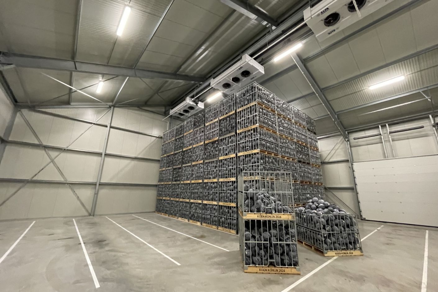 Koelcellen koolbewaring