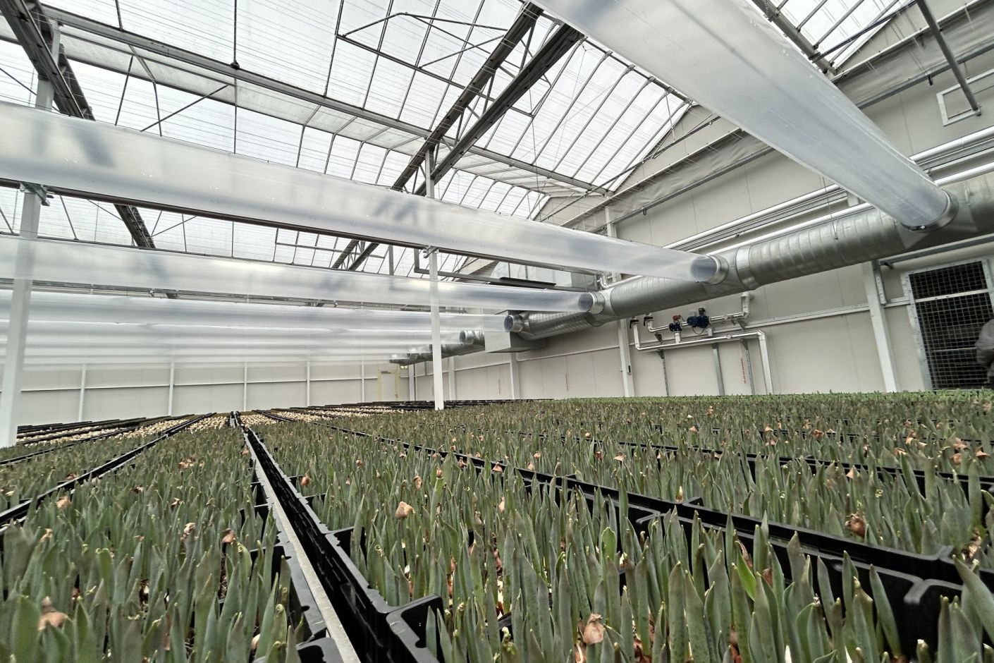 Luchtbehandeling kasinstallatie