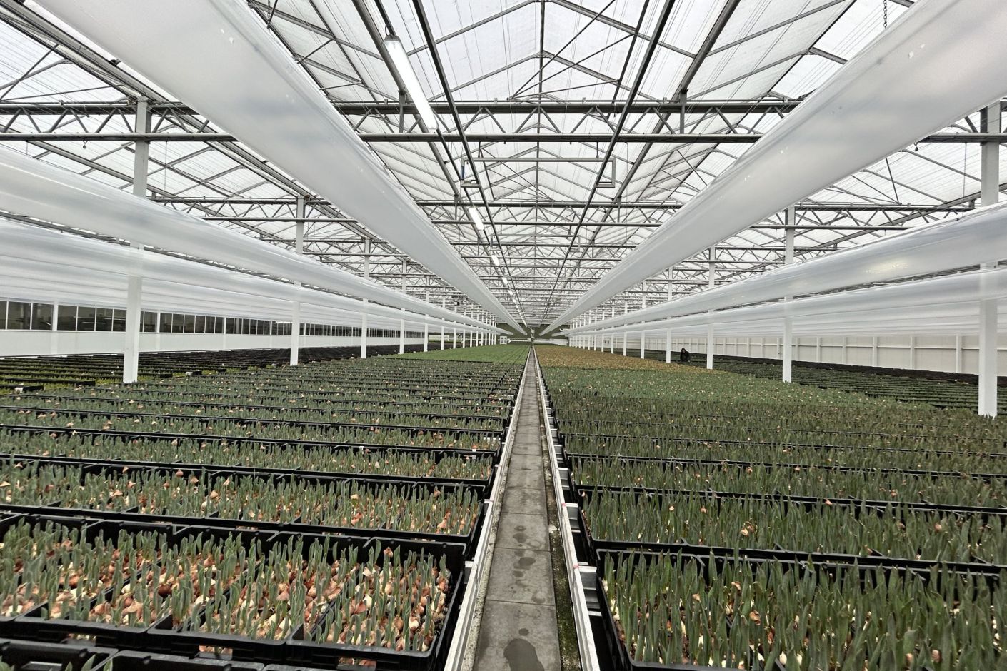 Luchtbehandeling kasinstallatie