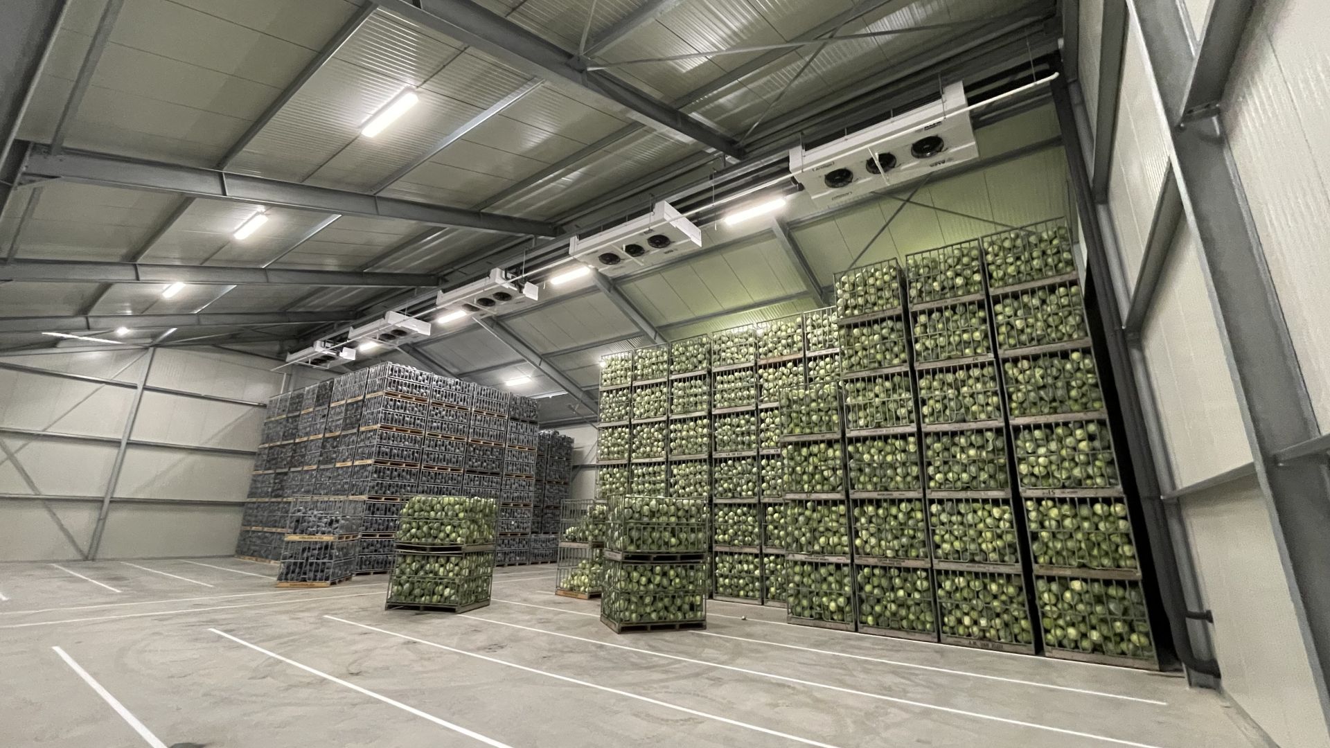 Waar wij echt goed in zijn...