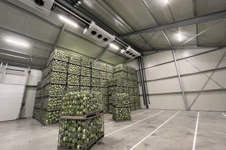 Koelcellen koolbewaring