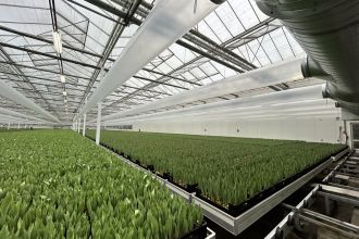 Luchtbehandeling kasinstallatie