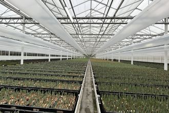 Luchtbehandeling kasinstallatie