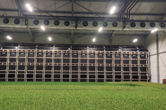 Steltenpool Bolbloemen B.V.